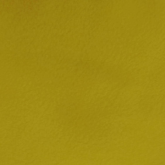 1020-3 флис желтый (2)
