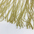 Бахрома 300 мм золото (2) Бахрома 300 мм золото (2)