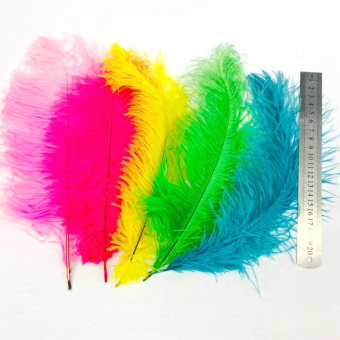 Декор Перья 190 (1)