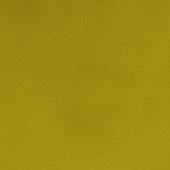 1020-3 флис желтый (2)