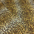 2340-1 Вискоза плательная леопард  (3)