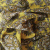 1805-15 вискоза плательная желтый огурцы (2)