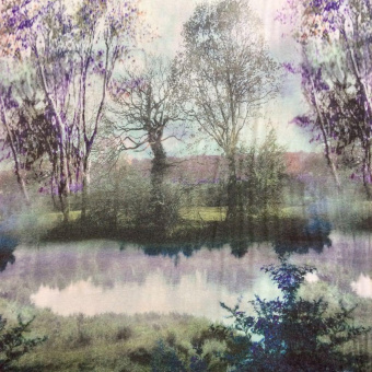 1981-1 трикотаж шерстяной зеленый принт (1)