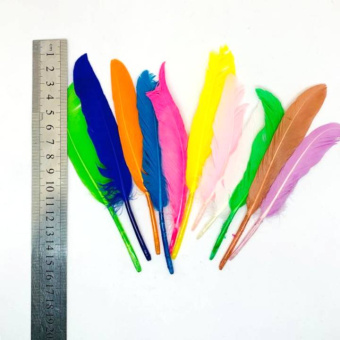 Декор Перья 5 шт-упк 50 руб