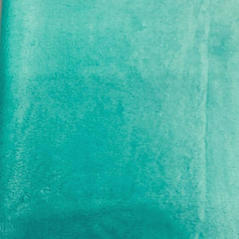 2309-6 Вельсофт мята