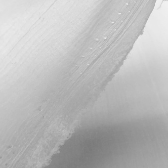 1926-7 органза креш молочный (2)