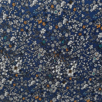 Untitled (1)